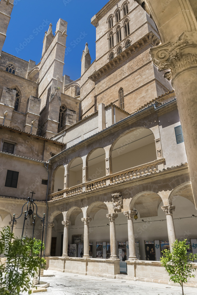 Claustro de la catedral de Palma de Mallorca