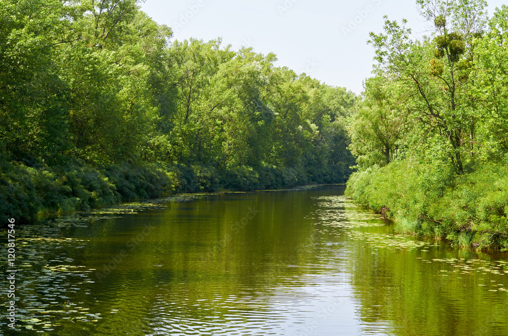 Summer landscape misty morning on the river Summer landscape misty morning on the river