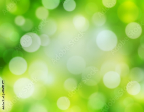 Green nature blur defocused background.
