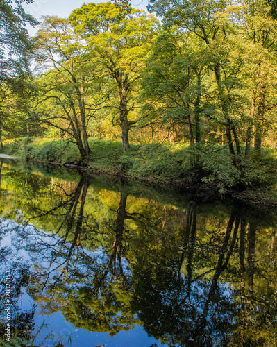 Amazing tree reflections in the river Wharfe at Bolton Abber, Skipton, Yorkshire, UK