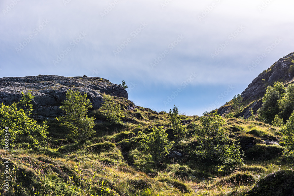 Obraz premium Colorful summer landscape with sharp mountain peaks in Norway.