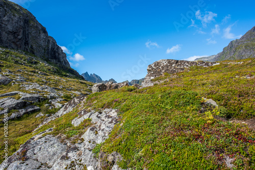 Colorful summer landscape with sharp mountain peaks in Norway.