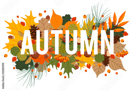 Fototapeta Naklejka Na Ścianę i Meble -  Vector pattern with autumn leaves and berries