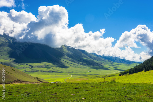 Fototapeta Naklejka Na Ścianę i Meble -  Horses grazing on a mountain pasture, Kyrgyzstan.