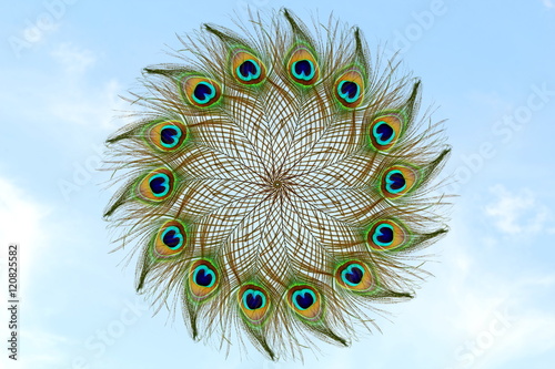 Beautiful peacock feathers in sky background with text copy space