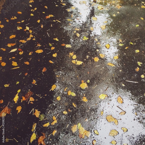 Schilderij op canvas foglie autunno