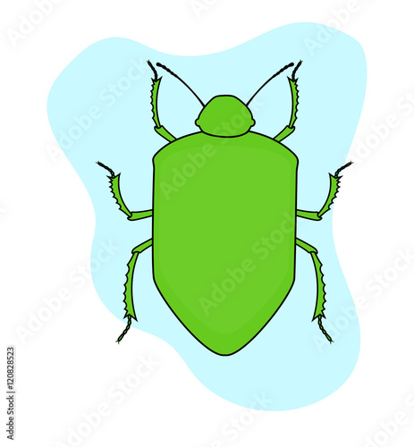 Green Beetle Insect Vector