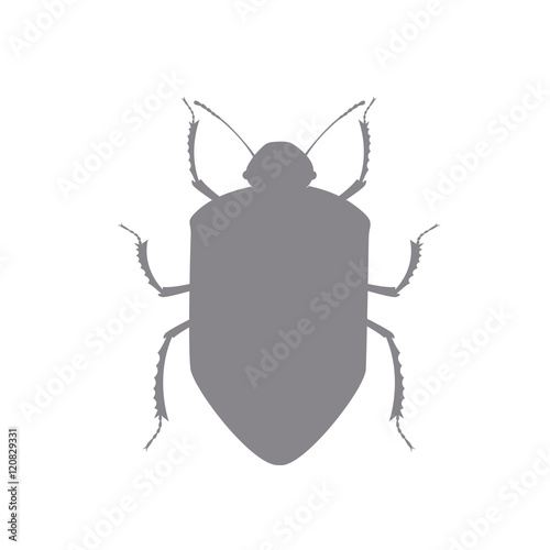 Beetle Insect Vector Shape