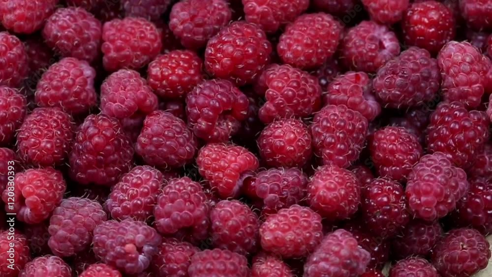 Ripe raspberry background. Closeup berries. 1280x720. Slow Motion
Ripe raspberry background. Closeup berries. 1280x720. Slow Motion