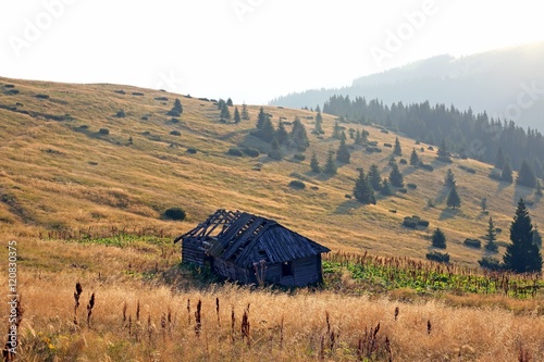 Fototapeta Naklejka Na Ścianę i Meble -  morning landscape on the slopes of the Carpathians. Ukraine
