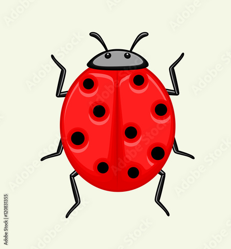 Ladybug Vector © VectorShots