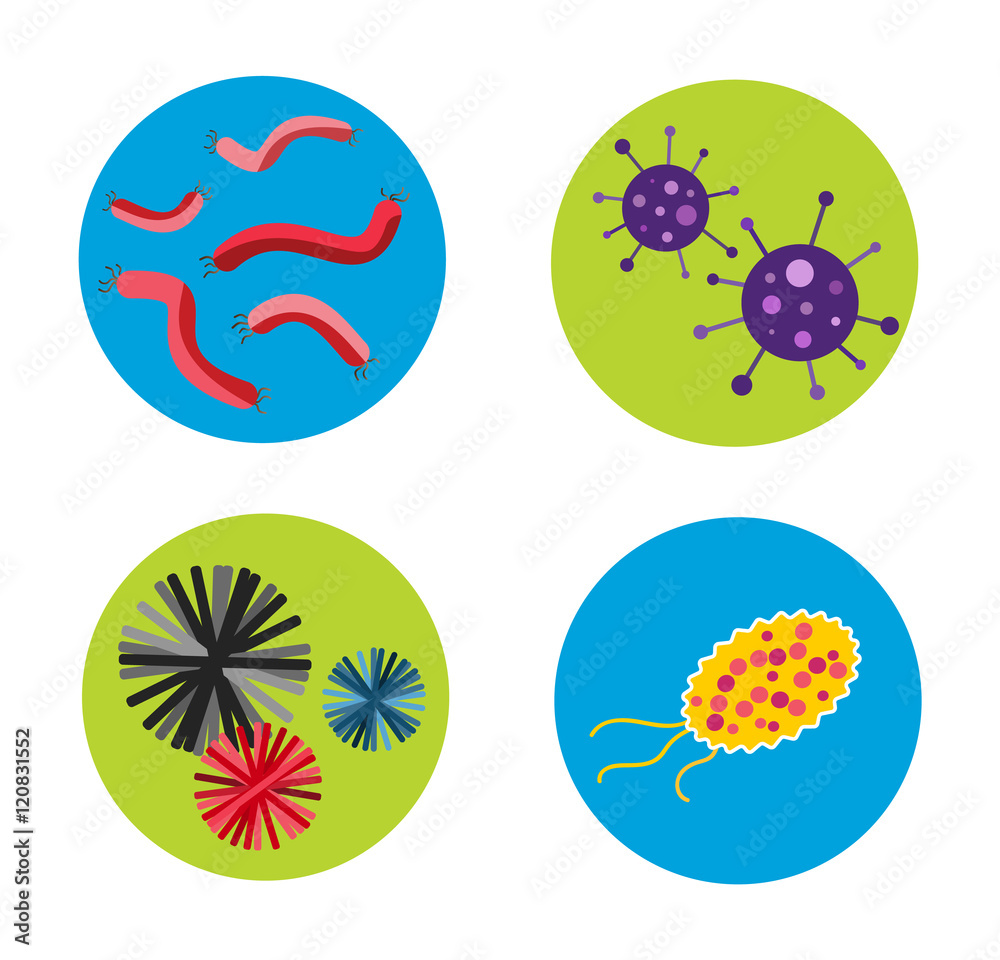 Bacteria virus vector icon Bacteria virus vector icon