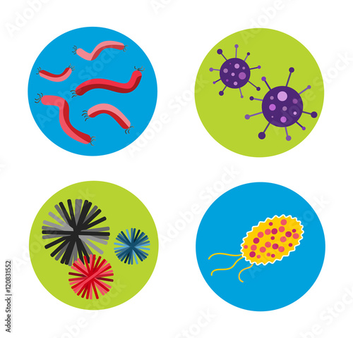 Bacteria virus vector icon