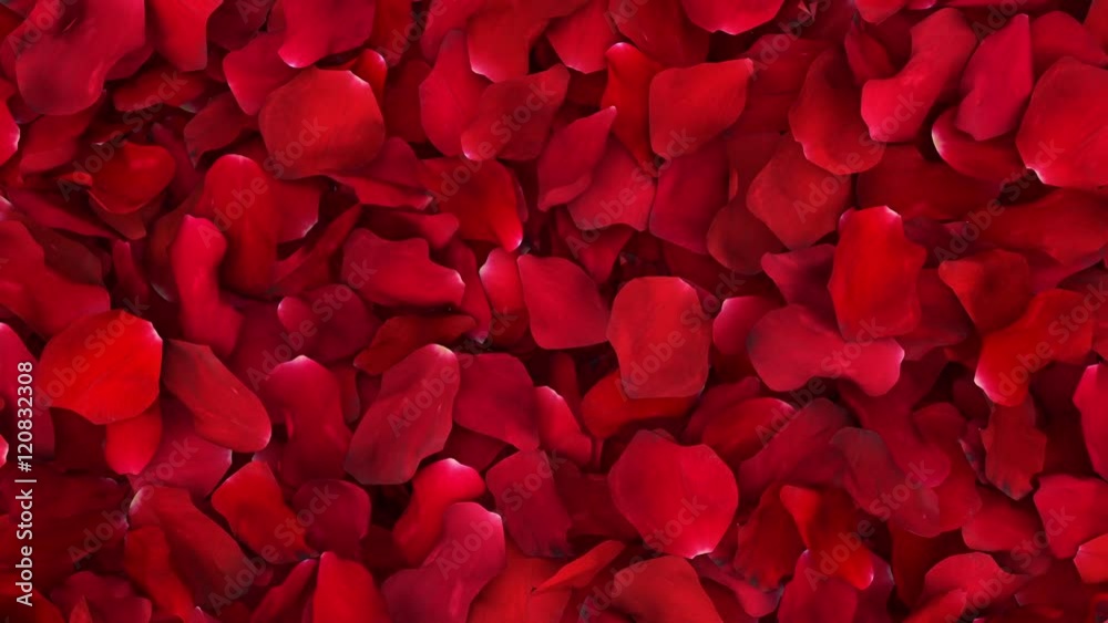 Romantic Rose Petals Wipe with Luma Matte