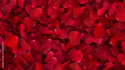 Romantic Rose Petals Wipe with Luma Matte