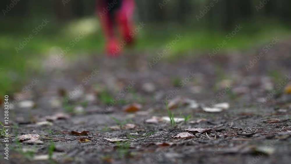 Fitness woman training and jogging at forest. Healthy lifestyle and sport concept Fitness woman training and jogging at forest. Healthy lifestyle and sport concept