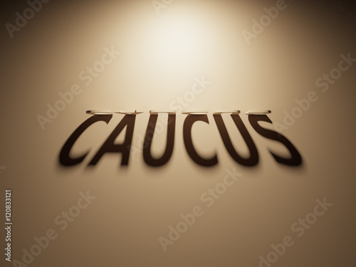 Fototapeta 3D Rendering of a Shadow Text that reads Caucus