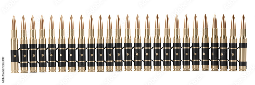 Bullet Shells Belt Bullet Shells Belt