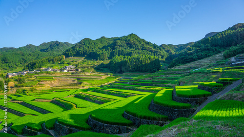 famous terraced rice-fields in Hasami  Nagasaki  Japan.
