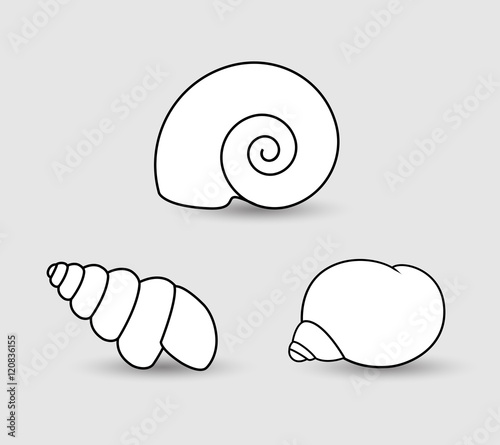 Shells Clipart
