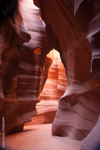 Nature's Abstraction from a slot canyon