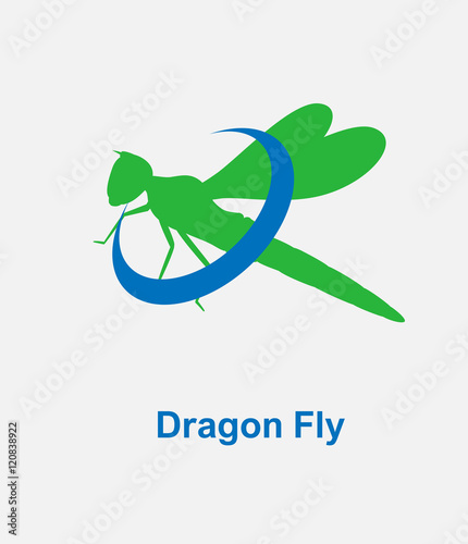Dragonfly Logo Vector