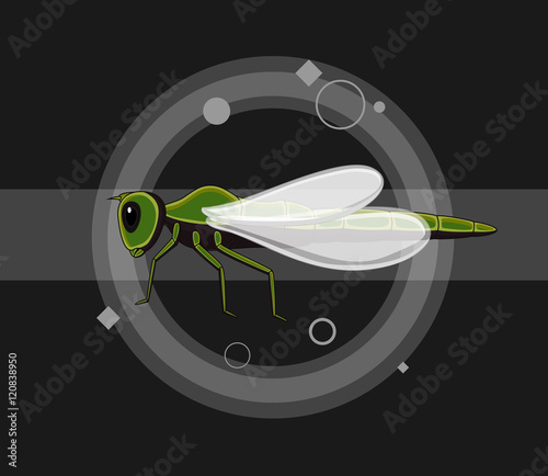 Dragonfly Insects Vector Illustration