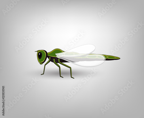 Dragonfly Vector Insect
