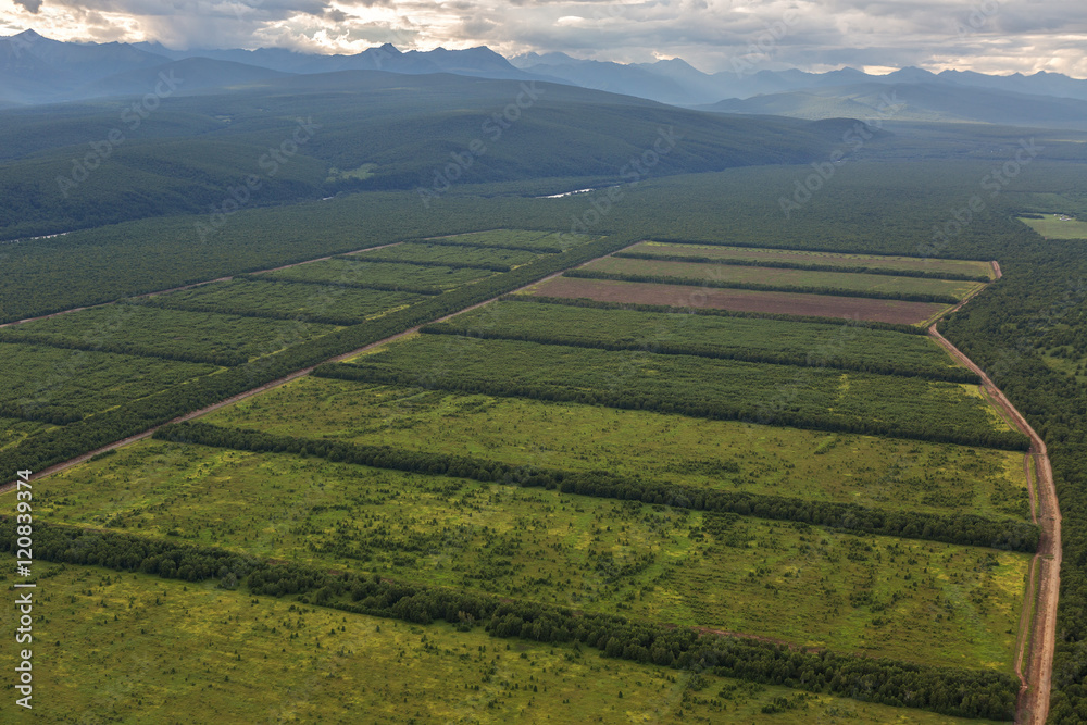 Fields of the Yelizovsky District in Kamchatka Peninsula.