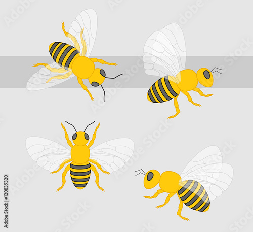 Bees Vector