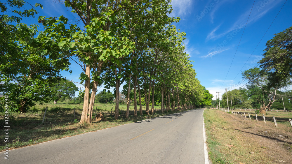 Country roads through the fields and blue sky Country roads through the fields and blue sky