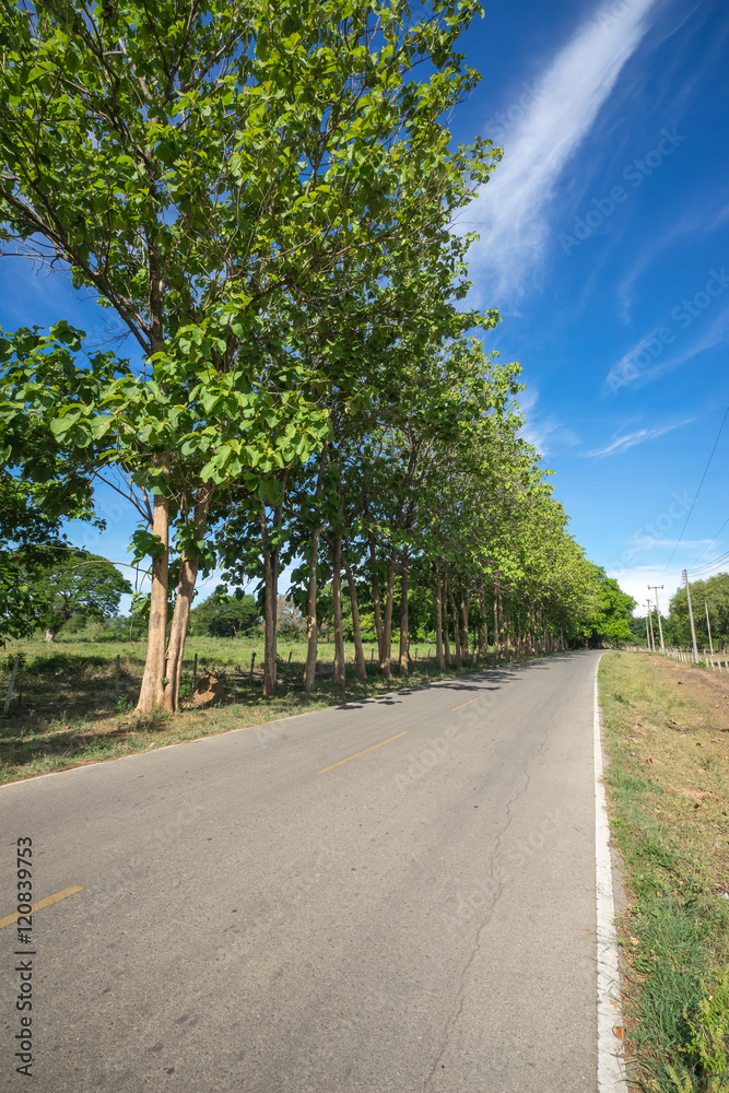 Country roads through the fields and blue sky Country roads through the fields and blue sky