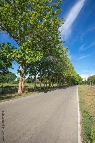 Country roads through the fields and blue sky