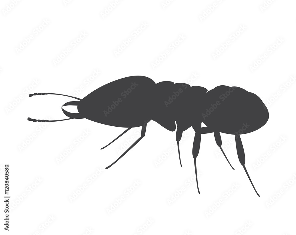 Termite Insect Silhouette Termite Insect Silhouette