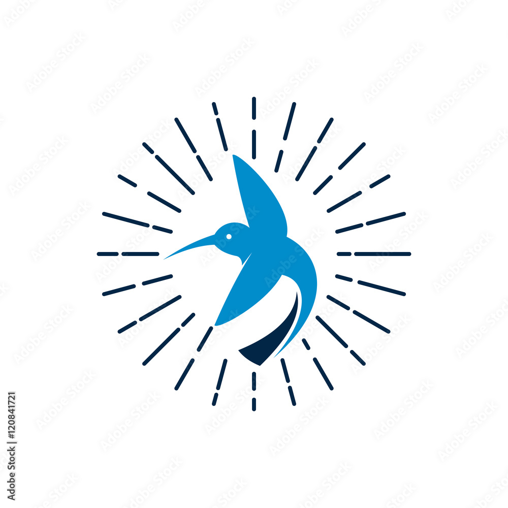 Sunburst Flying Hummingbird Colibri Logo Symbol