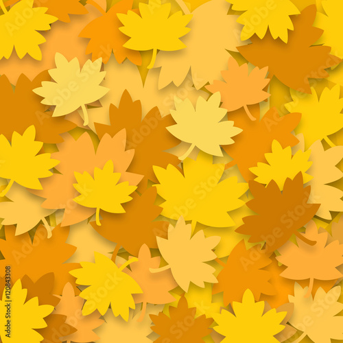 Maple autumn leaves background