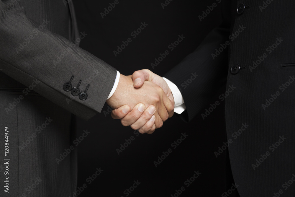 握手するビジネスマンの手