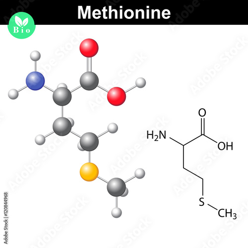 Methionine proteinogenic essential amino acid