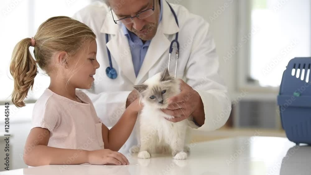 Kid watching her cat while at the veterinary Kid watching her cat while at the veterinary