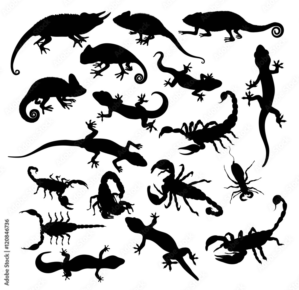 Naklejka premium Gecko Scorpion and Lizard Silhouettes, art vector design