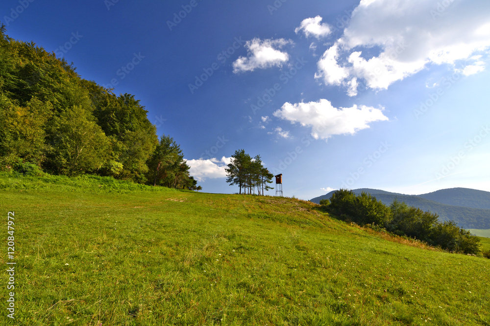 Fototapeta premium krajobraz Beskidu Niskiego