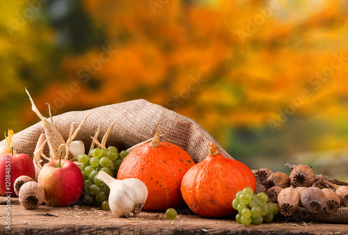 Autumn still life with pumpkins and autumn flower on nature background