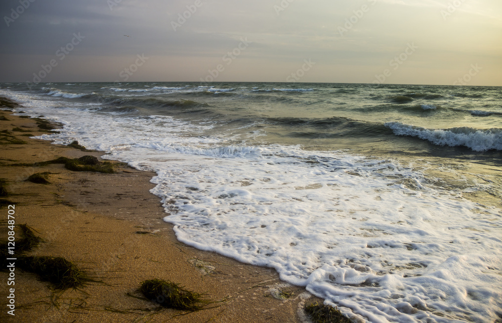 morning sea beach