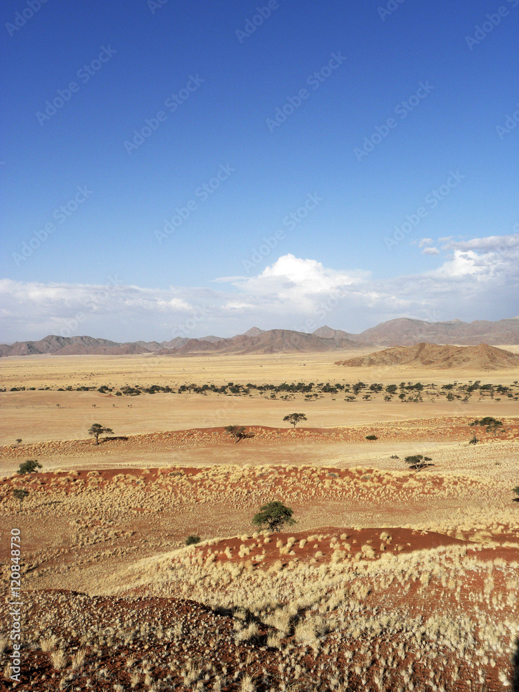 Obraz premium Namib Desert