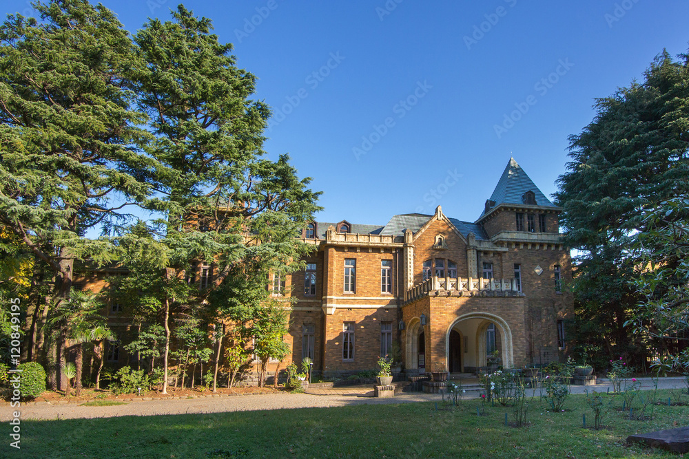 Fototapeta premium 駒場公園