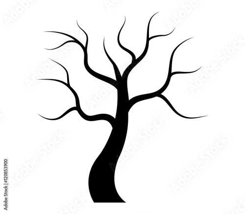 Dry autumn tree