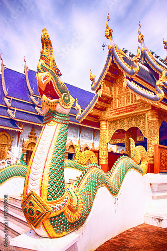 Big Naga in temple © new000007