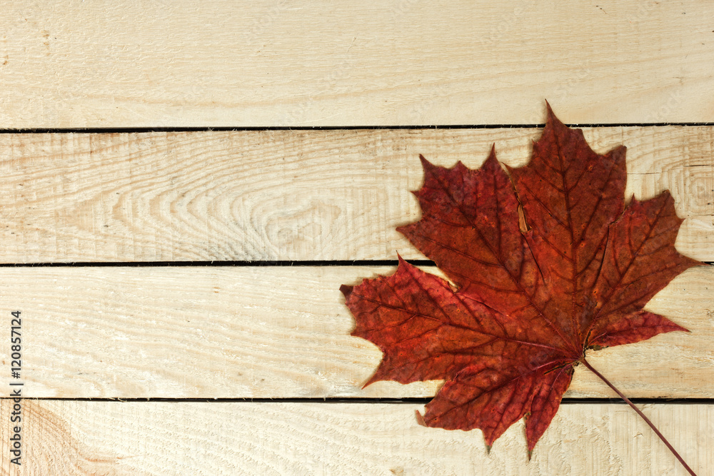 Autumn Leaf On The Wooden Background./Autumn Leaf On The Wooden Background. Autumn Leaf On The Wooden Background./Autumn Leaf On The Wooden Background.