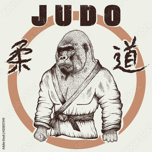 Judoka gorilla dressed in kimono