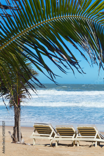 summer beach sun chairs lounger near tropical sea © AnnaMoskvina